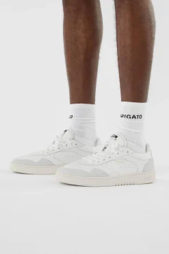 Arlo Sneaker