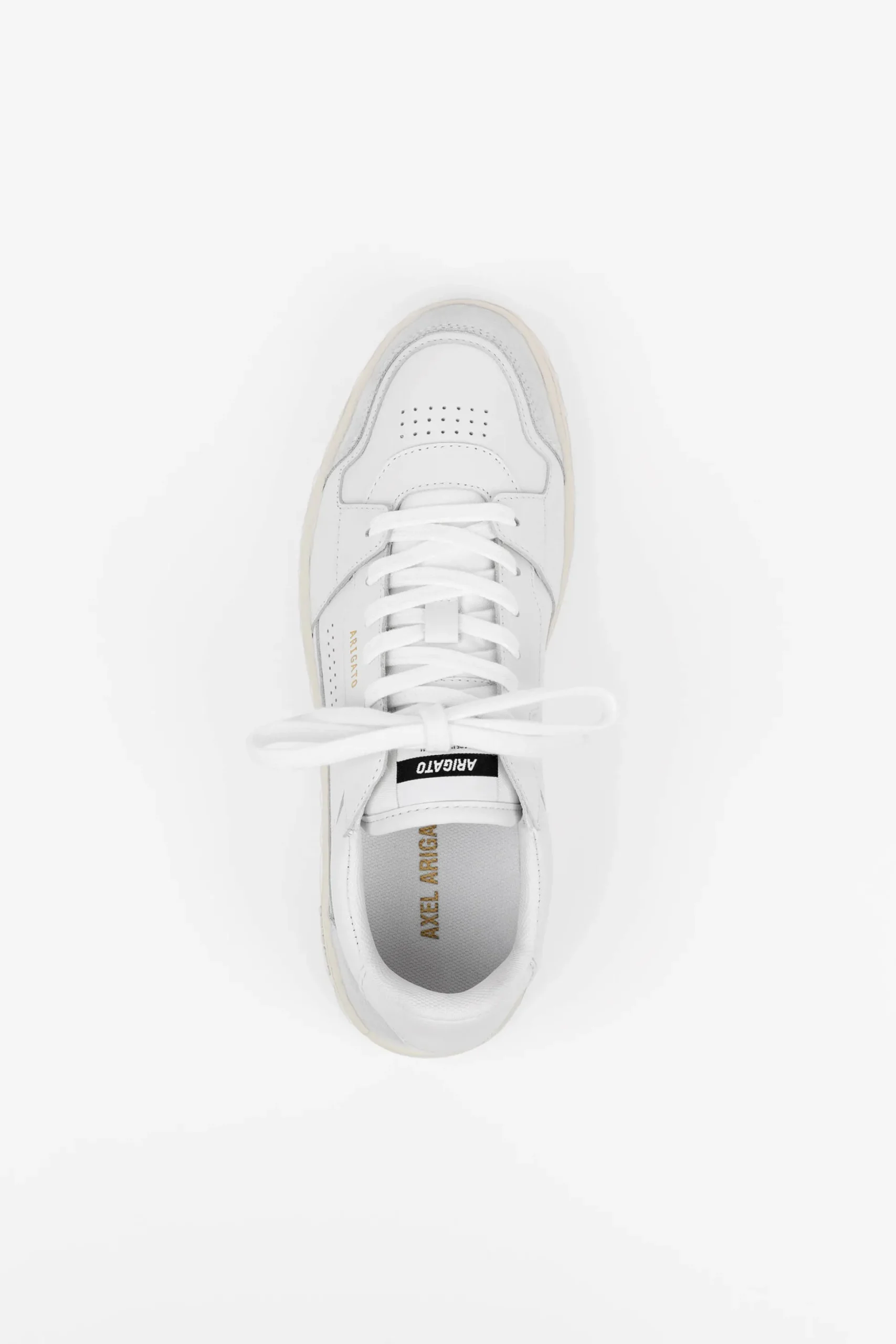 Dice Lo Sneaker