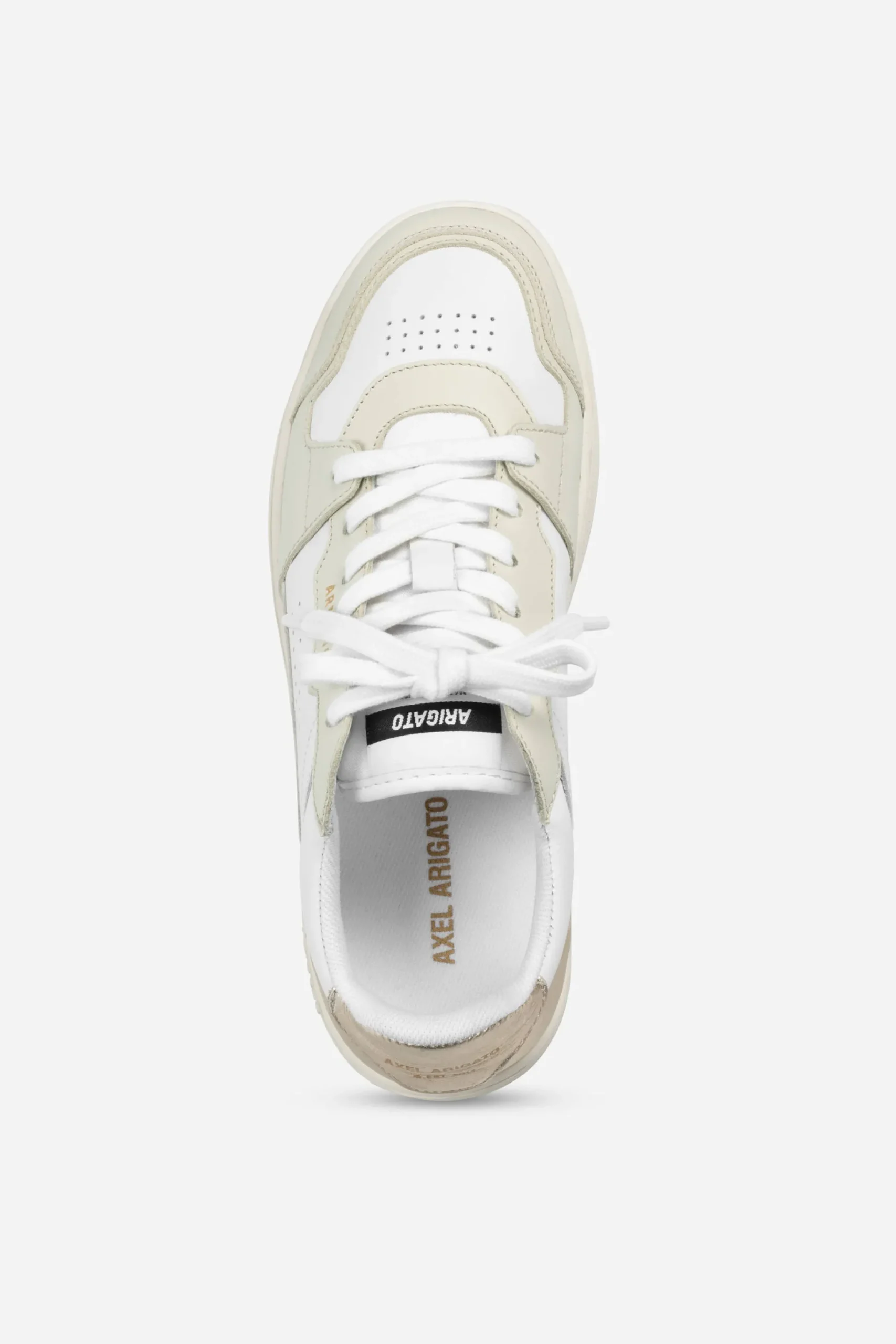 Dice Lo Sneaker