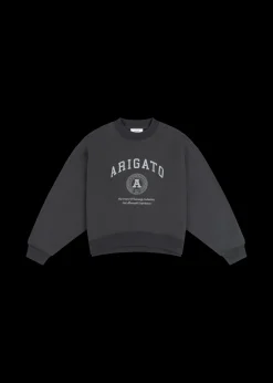 University Sweatshirt